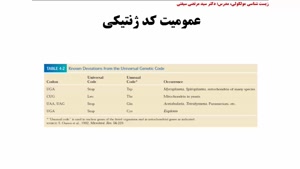 پروتئین سازی (ترجمه)