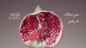 مستند «داستان انار» - قسمت پنجم