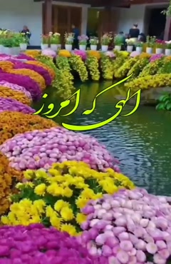 کلیپ پرانرژی برای صبح بخیر /  استوری برای صبح بخیر اینستا