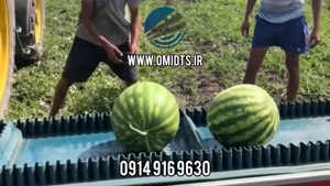 فیلم نوار نقاله صنعتی | نمایش عملکرد کانوایر در انتقال