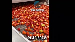 نوار نقاله و انواع آن | 09149169630