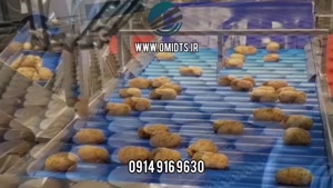 کاربرد نوار نقاله در صنایع غذایی | افزایش سرعت و بهداشت