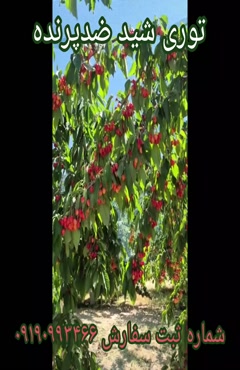 توری سایبان - شید گلخانه