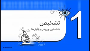 درمان زگیل تناسلی در زنان 