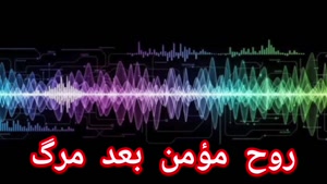 ارواح مومنین بعد از مرگ به کجا می‌رود؟