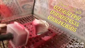 دستگاه مخمل پاش فلوکان استار 09190924535