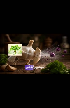 راز سیر، آویشن و نعناع؛ ۳ سبزی با خواص ضد میکروبی