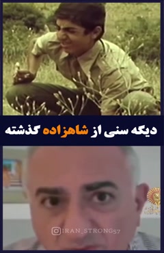 شاهزاده از اول عقل نداشت