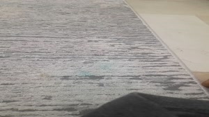 na_1393