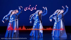 دانلود آهنگ ناری ناری با صدای زن و مرد و بچه