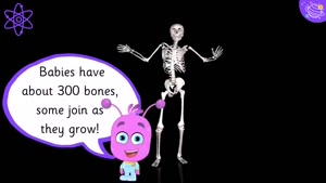 Body parts