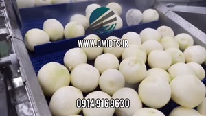 کاربرد نوار نقاله در صنایع غذایی