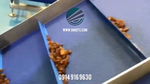 نوار نقاله سورتینگ | جداسازی و انتقال دقیق محصولات غذایی 