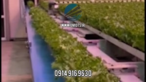 کاربرد نوار نقاله در کشاورزی | 09149169630