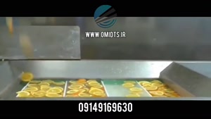 کاربرد نوار نقاله در خط تولید میوه | افزایش سرعت، کیفیت 