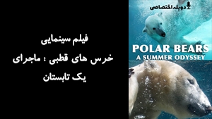 مستند خرس های قطبی : ماجرای يک تابستان Polar Bears: A Summer Odyssey 2012 - دوزبانه