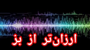 ارزان‌تر از بز