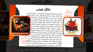 خرید زغال چینی | قیمت زغال چینی فشرده، قلیانی و صادراتی