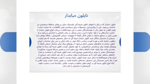 صفر تا صد نایلون حبابدار؛ انواع، کاربردها و نکات مهم خرید