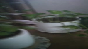 سریال