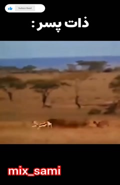 طنر