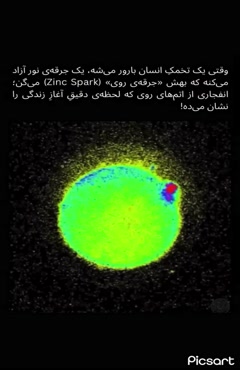 پدیده Zinc Spark 