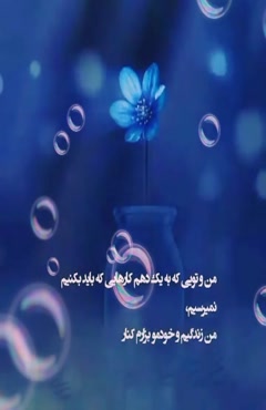 دکتر هلاکویی 