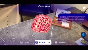 Brainapse : کاوش در مغز انسان
