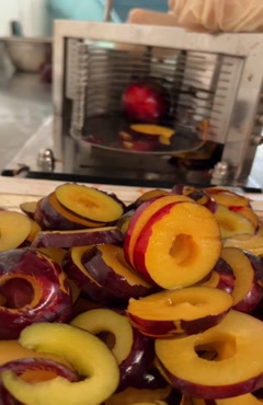 طرز خشک کردن آلو شابلون با دستگاه خشک کن اسوه 09138900047