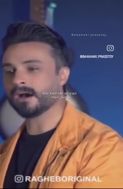 vjvhvb