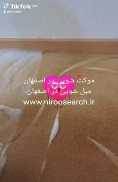 موکت شویی و مبل شوی در اصفهان