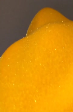 الیاف مخمل /دستگاه مخمل 