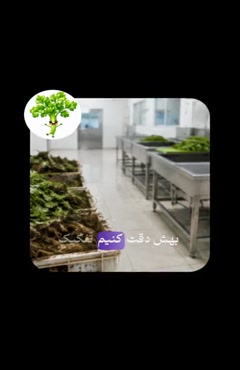 کارگاه سبزی‌خردکنی بهداشتی چطور کار می‌کنه؟