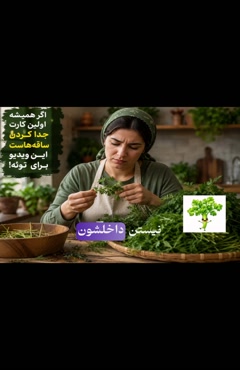 ساقه سبزی را دور نریز!