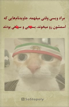 رضا پهلوی و مراد ویسی
