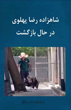 شاهزاده رضا پهلوی در حال بازگشت