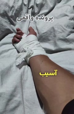 استاد وکیل: موضوع پرونده ضرب و جرح عمدی و مطالبه دیه 