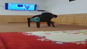 فیلم 
