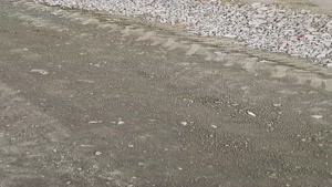 ویدئو تست 