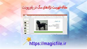 ✔ تحقیق  فهرست نژادهای سگ در قالب فایل پاورپوینت