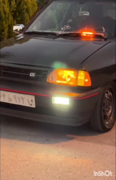 shayan826