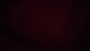 shok12