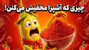 پاپریکا چیه و چطور غذاتو متحول می‌کنه؟ (همه چی درباره این ادویه جادویی)