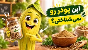 این ادویه خونگی رو به همه غذاهات اضافه کن؛ طعم و خاصیت با هم!