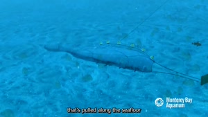 602 C How Seafood is Caught_ Bottom Trawling