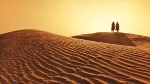 602-4B Desert Landscapes
