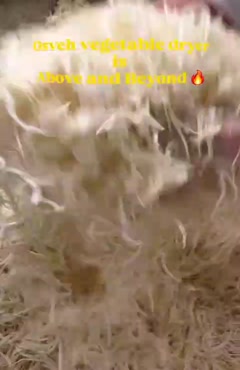 دستگاه خشک کن استخری پیاز اسوه صنعت 09138900047