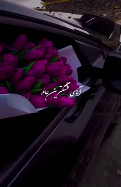 منظور از ترند اینستاگرام چیه؟