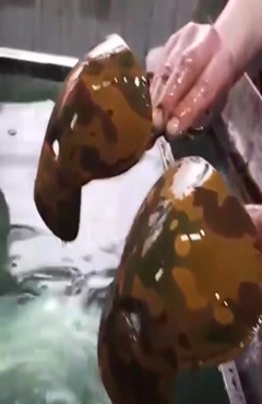 وان هیدروگرافیک حرفه ای فلوکان استار 