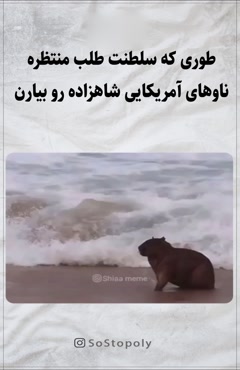طوری که سلطنت طلب منتظره  ناوهای آمریکایی شاهزاده رو بیارن شاه بشه 